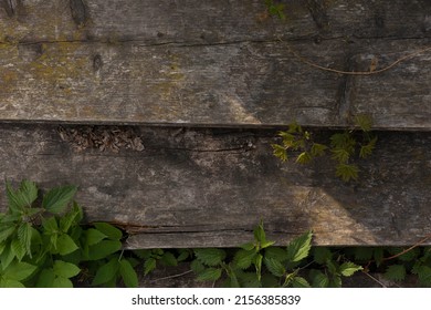 Old Wood Texture Background Cringe