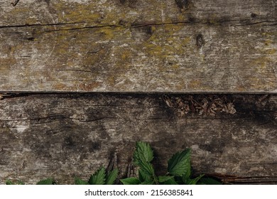 Old Wood Texture Background Cringe