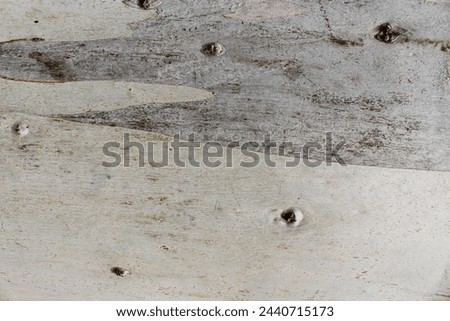  old wood texture, natural wood background.