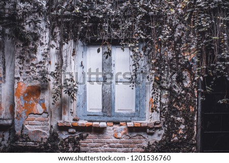 old wood window 