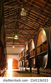 Old Wooden Barrels In Mendoza Winery