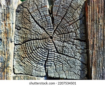 Old Wooden Beam Background. Wall Of Ancient House