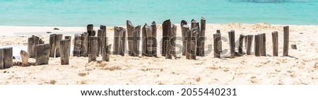 Old wooden beams from former pier on a beautiful caribbean beach in Mexico