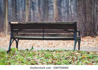 Old Wooden Bench In The Autumn Park, No People