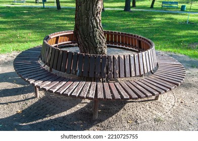 Old Wooden Bench Built Around A Tree