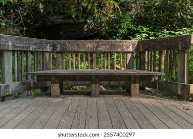 Old wooden bench covered in carvings on a function hiking trail boardwalk against a natural lush forest background - Powered by Shutterstock