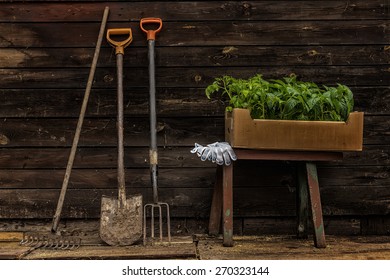 Potting Bench And Tools Images Stock Photos Vectors Shutterstock