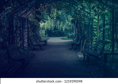Old wooden bench. Outdoors. A bench in the park. Lonely place in the garden. Bench in a beautiful garden in vintage style.