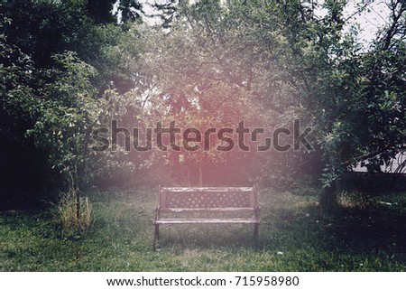 Similar – Image, Stock Photo Appearance in the garden