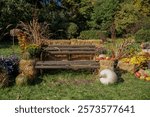 An old wooden bench stands on a clearing in the park. Around the bench there is autumn decor. Large pumpkins. Apples. Fruits. Chrysanthemums. The sun is shining. Around there are tall green trees.