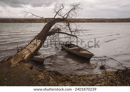 Old wooden Boat docked up by the old cracked tree. old boats stay still on shore in river. Many empty wooden old boats standing at river bank in autumn wild landscape. Fishing boats, Rustic morning.