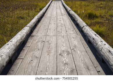 Old Wooden Bridge To Across Swamp