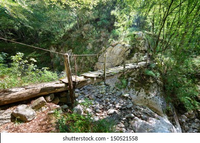 Old Wooden Bridge In A Forest