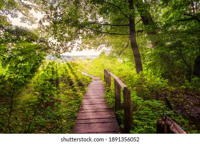 Old wooden bridge in forest and bright sunbeams at sunrise