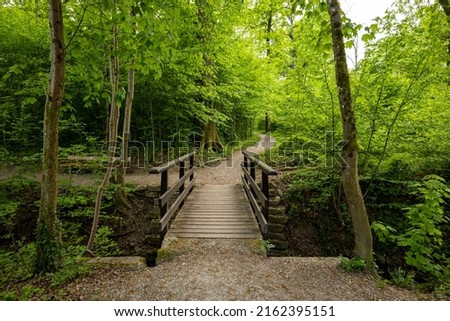 Old wooden bridge with guard rails over a small river in a forest. Sunny summer day, no people.