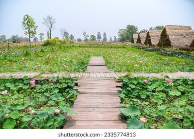 Old wooden bridge in the middle of the lotus pond. There is a small hut thatched roof. - Powered by Shutterstock
