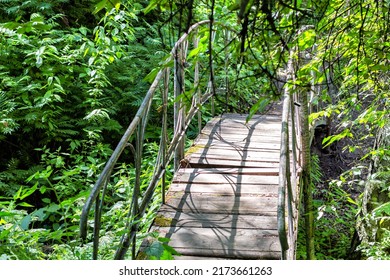 10,575 Metal bridge river forest Images, Stock Photos & Vectors ...