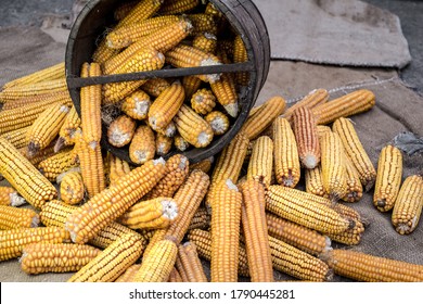 Old Wooden Bushel With Dried Corn