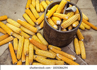 Old Wooden Bushel With Dried Corn