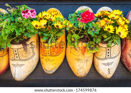 Old wooden clogs with blooming flowers hanging on a black wooden wall in The Netherlands