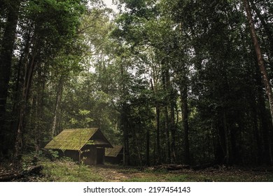 Old Wooden Cottage In The Forest .