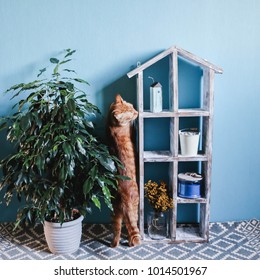 Old Wooden Dollhouse, Ginger Cat And Ficus