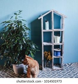 Old Wooden Dollhouse, Ginger Cat And Ficus