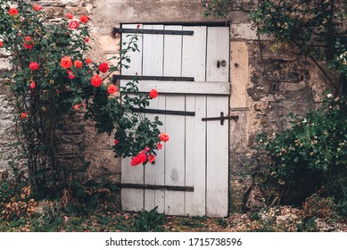 Old wooden door of the stone house and bush of the blooming rose in french countryside, Burgundy, France