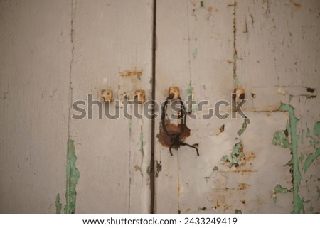 Old wooden door vintage. Hasp with lock,
deadbolt with lock