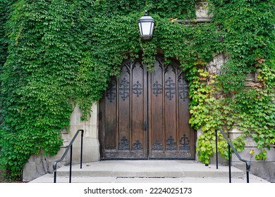 Old Wooden Double Door Of Gothic Style College Building, Surrounded By Thick Ivy