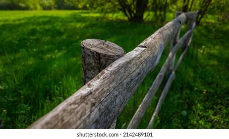 Old wooden fence against the background of a meadow in the village. Spring season, April. Web banner.