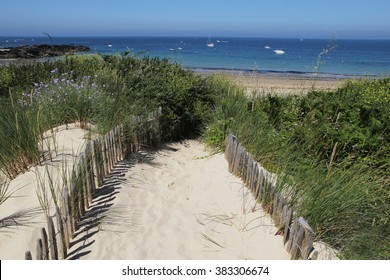 Images Photos Et Images Vectorielles De Stock De France