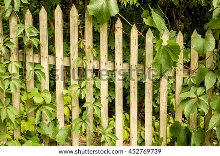 Similar – Image, Stock Photo Stories from the fence .156