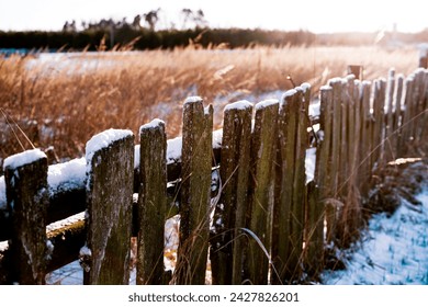 An old wooden fence overgrown with moss in a snowy field with dry yellow grass in early spring. Rural landscape - Powered by Shutterstock