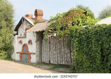 old wooden fence overgrown with vines next to a small white hut summer landscape