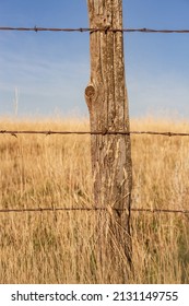 9,765 Barbed fence post Images, Stock Photos & Vectors | Shutterstock