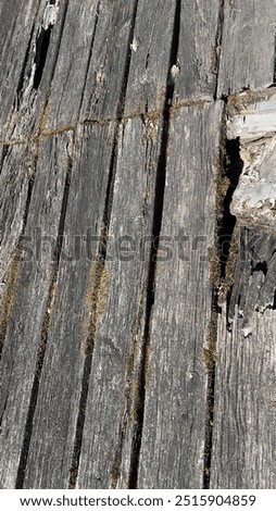Similar – Image, Stock Photo Detail of partially destroyed old grave in a cemetery