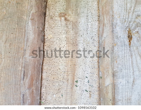 Old Wooden Floor Small Holes Stock Photo Edit Now 1098563102