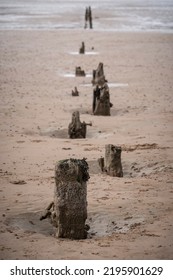 Old Wooden Harbour Wall Posts On A Sandy Beach