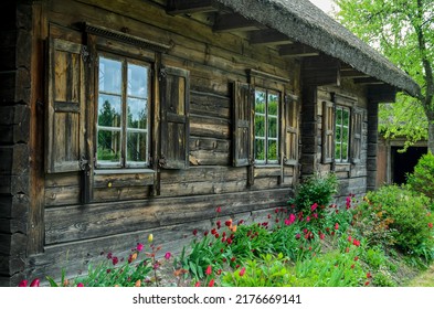 Old Wooden House And Garden