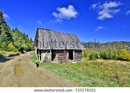 Old wooden hut in the meadow, Gorce mountains, Poland