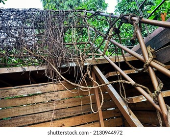 Old Wooden Ladder With Root Loops