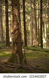 Old Wooden Ladder In Woods