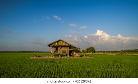 Old Wooden Malay House In The Paddy Fields.