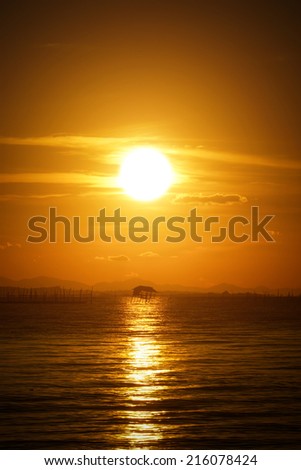 Similar – Foto Bild Abendsonne im Wald von Schweden