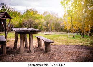 Old Wooden Picnic Table And Benches - Resting Place In The Woods. Quiet And Peaceful Picnic Area In The Nature With No People. 