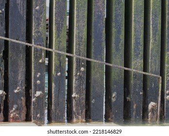 Old wooden planks on the bottom part of a wharf and an old metal handrail on steps leading into the water
