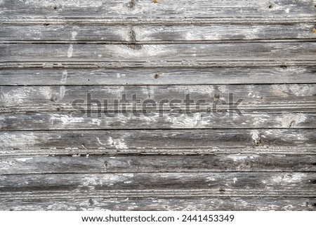 Old wooden planks with remnants of white paint. Background texture of old wooden boards. Gray horizontal texture.