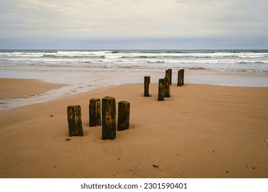 Old Wooden Posts on Cambois Beach, located between the rivers Blyth and Wansbeck on the Northumberland coast and is a long stretch of sand backed by rocks and grassy dunes - Powered by Shutterstock