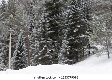 Old Wooden Power Pole In Snow Covered Forest